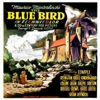 Plavi poster ptica ART 1940. �20. vek fo tm & copyrght Courty Evertt kolekcija filmskog postera Masterprint