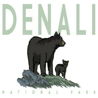 Nacionalni park Denali, Aljaska, Crni medvjedi