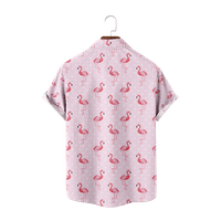 Flamingos Cartoon Boy Beach cvjetna cvijeća Havajska kratka rukava ljetna dječaka odjeća, e-2xs