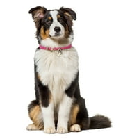 PU kožni ovratnik za pse meka podstavljena prozračna podesiva vodootporna kućna ovratnica sa izdržljivom