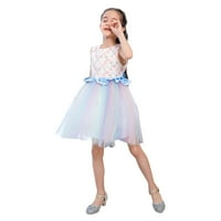 4-godina djevojke haljina vezena rukavica bez rukava cvjetna haljina s cvijećom princezom bouffant suknja