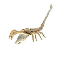 Raisewill Halloween Ornament, kostur za životinje Model mačjih pacova Scorppion Lizard kostur za krastav