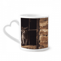 Životinjska kutna mačka fotografija milica za pictur kafe Cerac za piće STAKLO KUP