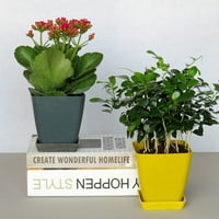 Nordijski stil SOLD COLOR Square Flowerpot - Kontejner za dekor uredske dekore sa pladanjom