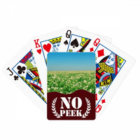 Sky Green šumarstvo Nauke Prirodno prirodi Peek Poker igračka karta Privatna igra