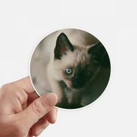 Životinjska plava oka mačića siva fotografija naljepnica sa koferom za laptop naljepnica za laptop
