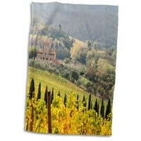 3Droza Italija, Toskana. Vinograd jesen u jesen u regiji Chianti of Toskana. - ručnik, by