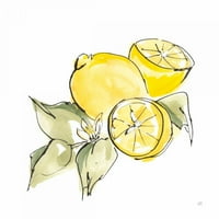 Limun miran život i by Chris Paschke