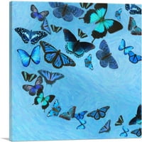 Baby Blue Crni leptir krila insekta platno Art Print - Veličina: 26 26