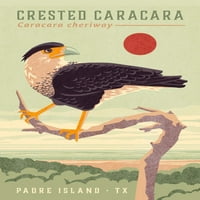 Padre Island, Texas, Shorebirds u Sunset Collection, Crested Caracara, Bird