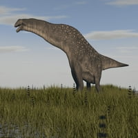 Titanosaurus koji stoji u močvarnom travnjačkom posteru Ispis