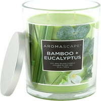 Aromascape PT 2-Wick mirisna jar svijeća, bambus i eukaliptus, 19-unca, zelena