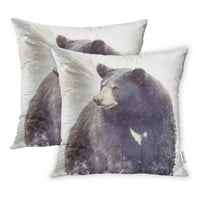 Smeđi crni medvjedi portretni akvarel slikanje velikog jastučnog jastučnog poklopca od 2