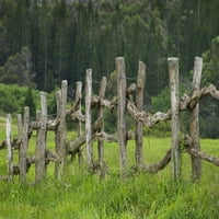 Havaji, Lanai, drvena ograda graničarajući pašnjak kao loža na Koele konja stajama. Print plakata