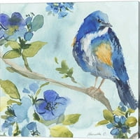 Ptice na grani Marietta Cohen Canvas Art Set od svakog