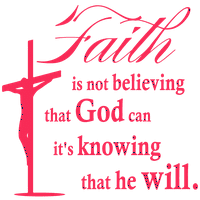 Vjera ne vjeruje da Bog može znati - vinil naljepnica za naljepnicu - srednja - crna