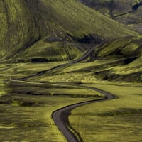 Krive na Islandu putem zelene prirode Bill Young