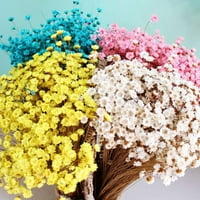 YMHeart Sušeni cvjetovi Dugi trajni anti alergijski prirodni živopisni gipsfila sušeno cvijeće za dom