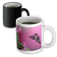 3drose rubin hummingbird na ružičastom pentasu, marion Co. IL - čarobna transformaciona krigla, 11 unca