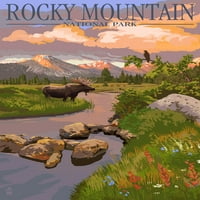 Rocky Mountain Nacionalni park, Kolorado, Moose i livada