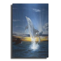 Luxe Metal Art 'Skočajući delphin' Chris Dobrowolski, metalna zida Art, 16 x24