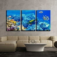 Zid - Platno Zidna umjetnost - prekrasan i prekrasan podvodni svijet s koraljima i tropskim ribama.