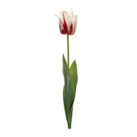 Melrose International Crveni i bijeli tulip stabljika