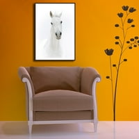 Bijelo konjsko slikanje Platno poster HD Ispis umjetničkih životinja Zidna slika Unformed Living Room