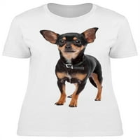 Crna ovratnica Chihuahua majica za žene -Image by Shutterstock, ženska srednja