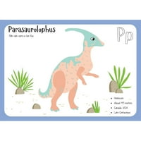 Panel sa papirom sa flash karticom parasaurolophus