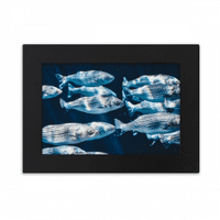 Riblji životinjski morski organizam Tropska desktop foto okvir ukrasi slika umjetno slika