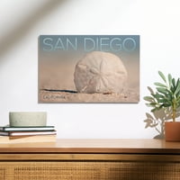 San Diego, Kalifornija, Sand Dollar na plaži Birch Wood Wall znak