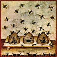 Pčelarstvo, arapska medicinska knjiga, 14. stoljetni poster Ispis naučnog izvora