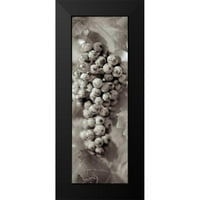 Blaustein, Alan Crni moderni uokvireni muzej umjetnički print naslovljen - grožđe Pano - 14