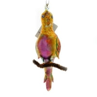 Radko Polly Jollies Glass Ornament italijansko papagaj ptica zelena