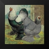 Wright, Lewis Crni moderni uokvireni muzej umjetnički print pod nazivom - kokoši: tamne brahmas