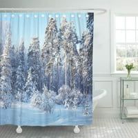 Plavi borov hladan dan u snježnoj zimskoj šumi za kupatilo za kupatilo za kupanje
