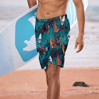 Plažni kratkiši i dječaci Havajski kratke hlače za muškarce Plaže Kratke hlače za muškarce Ljeto Flowy