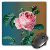 3Droza Vintage prilično ružičasti cvijet ruže, jastučić miša, po