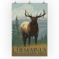 Chemainus, BC - ELK scena - Lantern Press Originalni poster