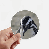 Slatka pingvini nauka Najobi naljepnica naljepnica okruglog zidnog kofera za laptop naljepnica