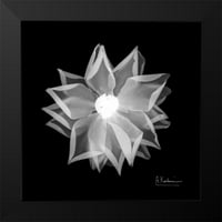 KoetSier, Albert Black Moderni uokvireni muzej umjetnički print pod nazivom - Petke ruže 1