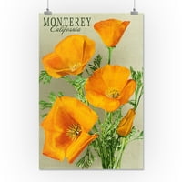 Monterey, California, makov cvjetovi, vintage poster