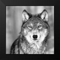 FOSINC Studio Crni moderni uokvireni muzej umjetnički print pod nazivom - vuk