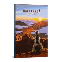 Nacionalni park Haleakalä, Havaji, slikarsko nacionalno park serija