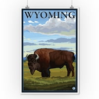 Wyoming, Bison scena