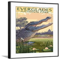 Nacionalni park Everglades, Florida Alligator scena, životinje uramljena umjetnost Print Wall Art by