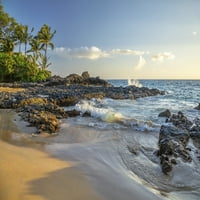 Obala Maui-a s robusnom lavom stijenom, plažom i palmima; Kihei, Maui, Havaji, Sjedinjene Američke Države