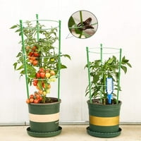 Postrojenja Rajatoes Podrška kavezima Jednostavna ugradnja biljnih biljaka za rajsku biljne biljke