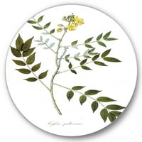 Art Designart 'Vintage Botanicals XVIII' Tradicionalni metalni krug Zidna umjetnost - disk od